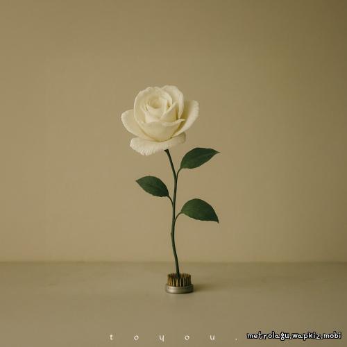 toyou. - Paper Bloom.mp3
